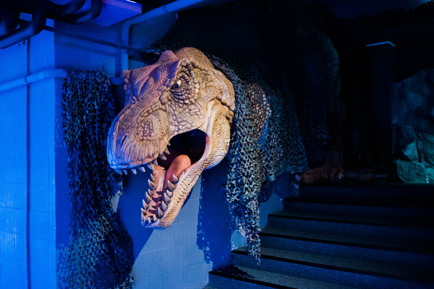 Dinoszaurusz fej VR Vidámparkban